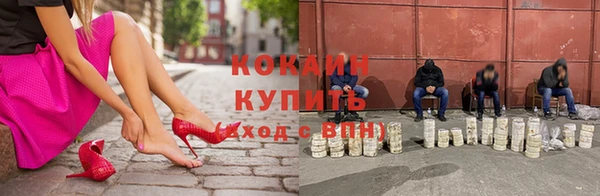гидра Узловая
