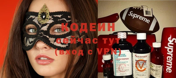 крисы Удомля