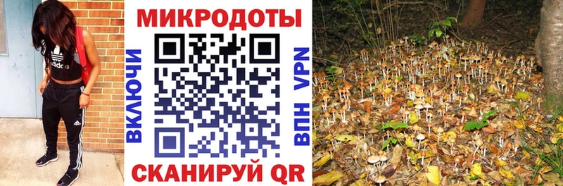 Псилоцибиновые грибы Cubensis наркотики Дигора
